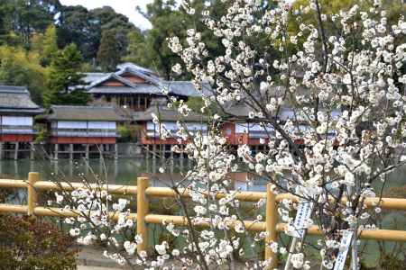 池のほとりにて