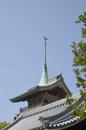 一番高いところ