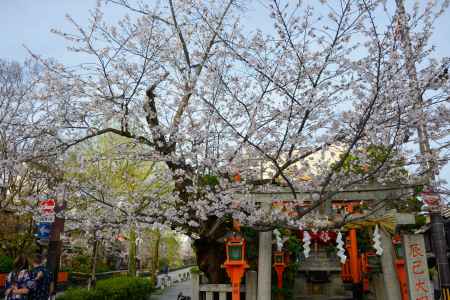 大明神の春景色