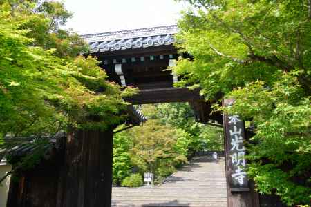 青々と　堂々と