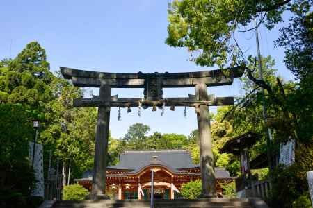 皐月の青空の下