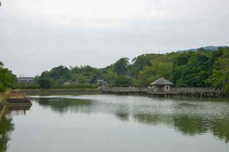 八条が池のさざ波