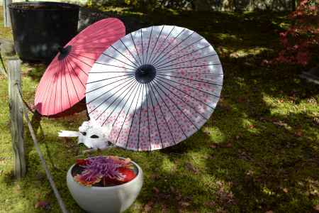 勝林寺　和傘のコラボ