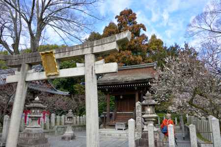 城南宮　芹川神社