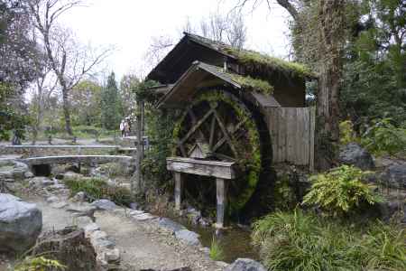 植物園の水車