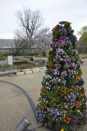 かわいいお花のお出迎え
