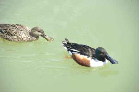 久しぶりのご対面
