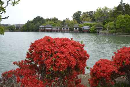 霧島つつじと錦水亭