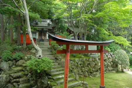 柳谷観音 新緑に包まれる愛染堂