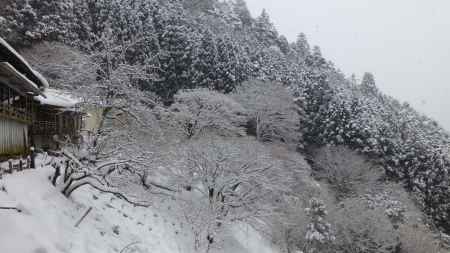京都愛宕「月輪寺」風景3