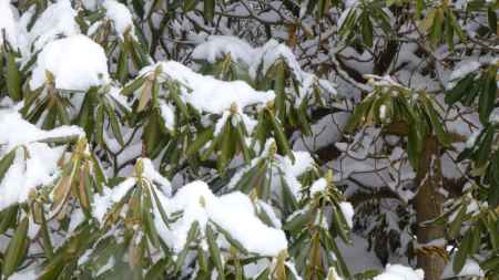 京都愛宕「月輪寺」風景6