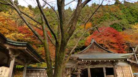 京都愛宕「月輪寺」秋の風景③本堂