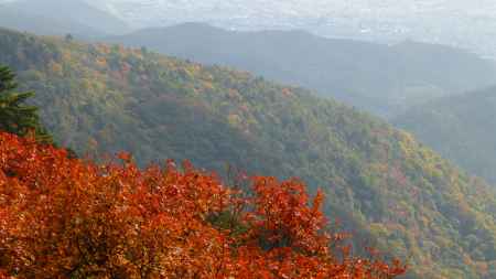 京都愛宕「月輪寺」秋の風景⑦山景色