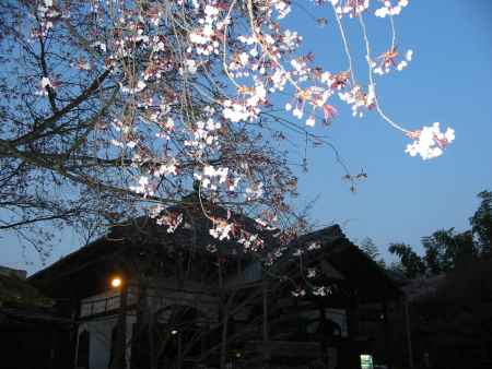 岡崎公園の夕暮れ