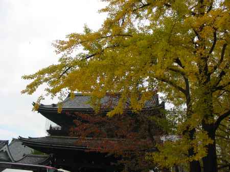 秋の金戒光明寺