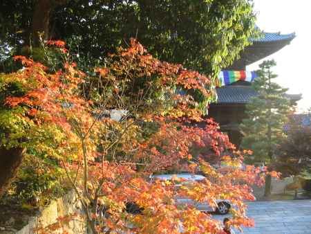 金戒光明寺の紅葉