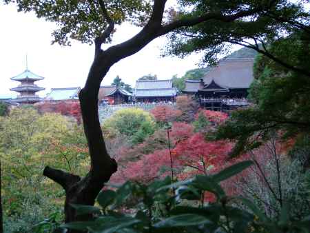 紅葉の清水寺