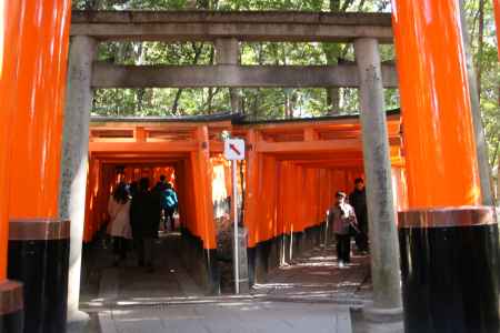 千本鳥居　わかれ道