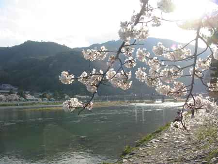 桜と嵐山