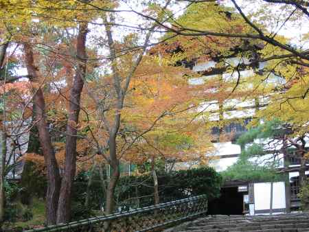 龍安寺参道の紅葉