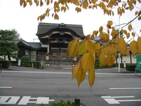東本願寺菊の門と紅葉