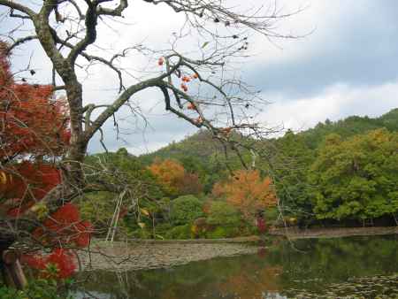 秋の龍安寺鏡容池
