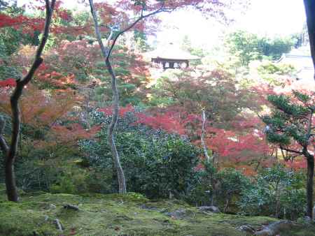 秋の銀閣寺