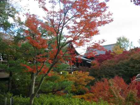 東福寺 秋の通天橋