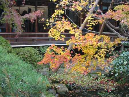 建仁寺の秋