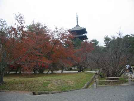 仁和寺 秋の境内