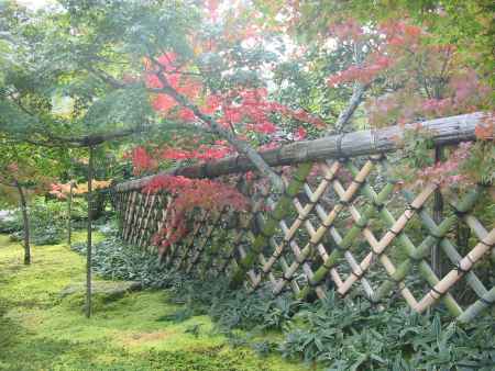 光悦寺 竹垣と紅葉