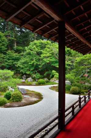 洛北の門跡、緑のころ