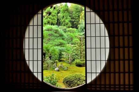 夏の風情をのぞく