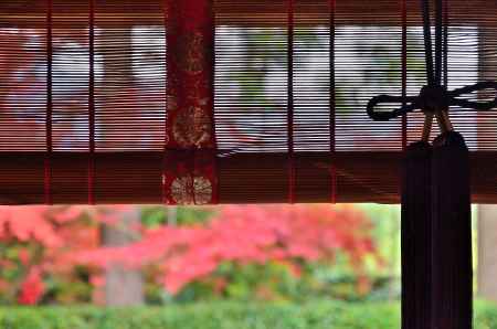 簾越しの秋