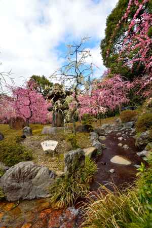 梅香る方除けの社