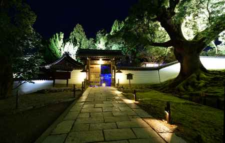 夜灯りの粟田御所