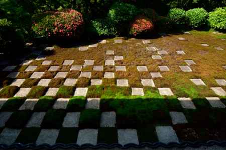 コンポジション：緑