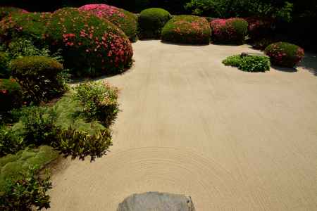 丈山寺、染まる葉々