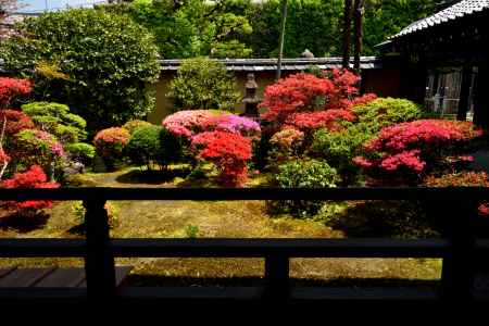 祇園、花の名刹