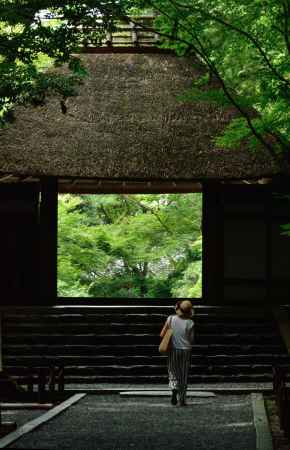 名刹、緑の涼風