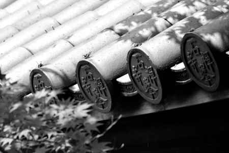 楓そよぐ百丈山