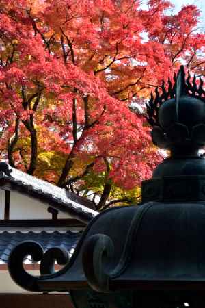 西山、椛の錦絵