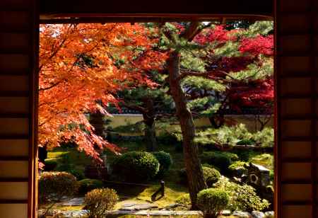 名刹、秋彩の襖絵
