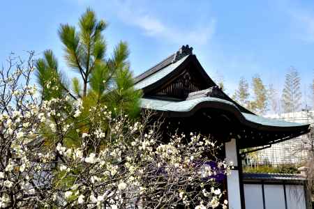 春香る名刹