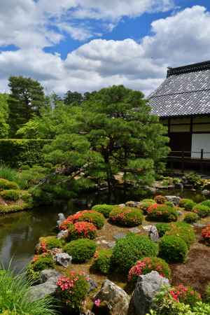 彩り五月（ごがつ）晴れ