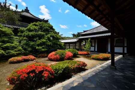 嵯峨野、静かな彩