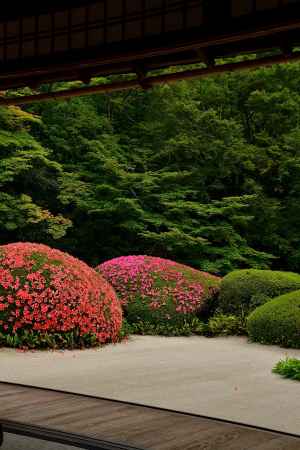 名庭、想い眺めて