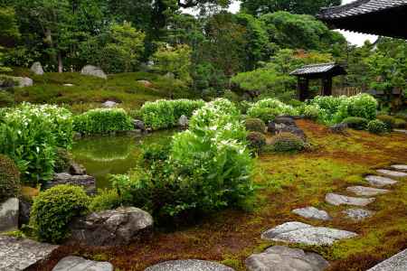 名庭、半夏生の候