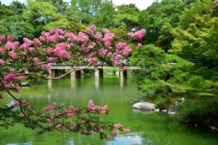 拾翠亭,夏の紅花