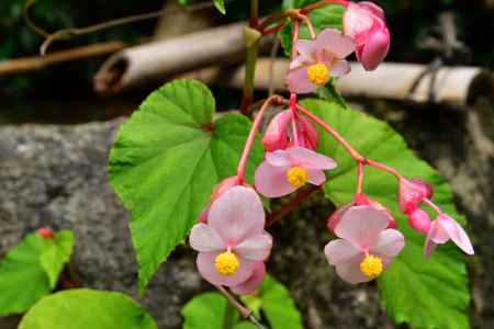 大原の里、秋の兆し